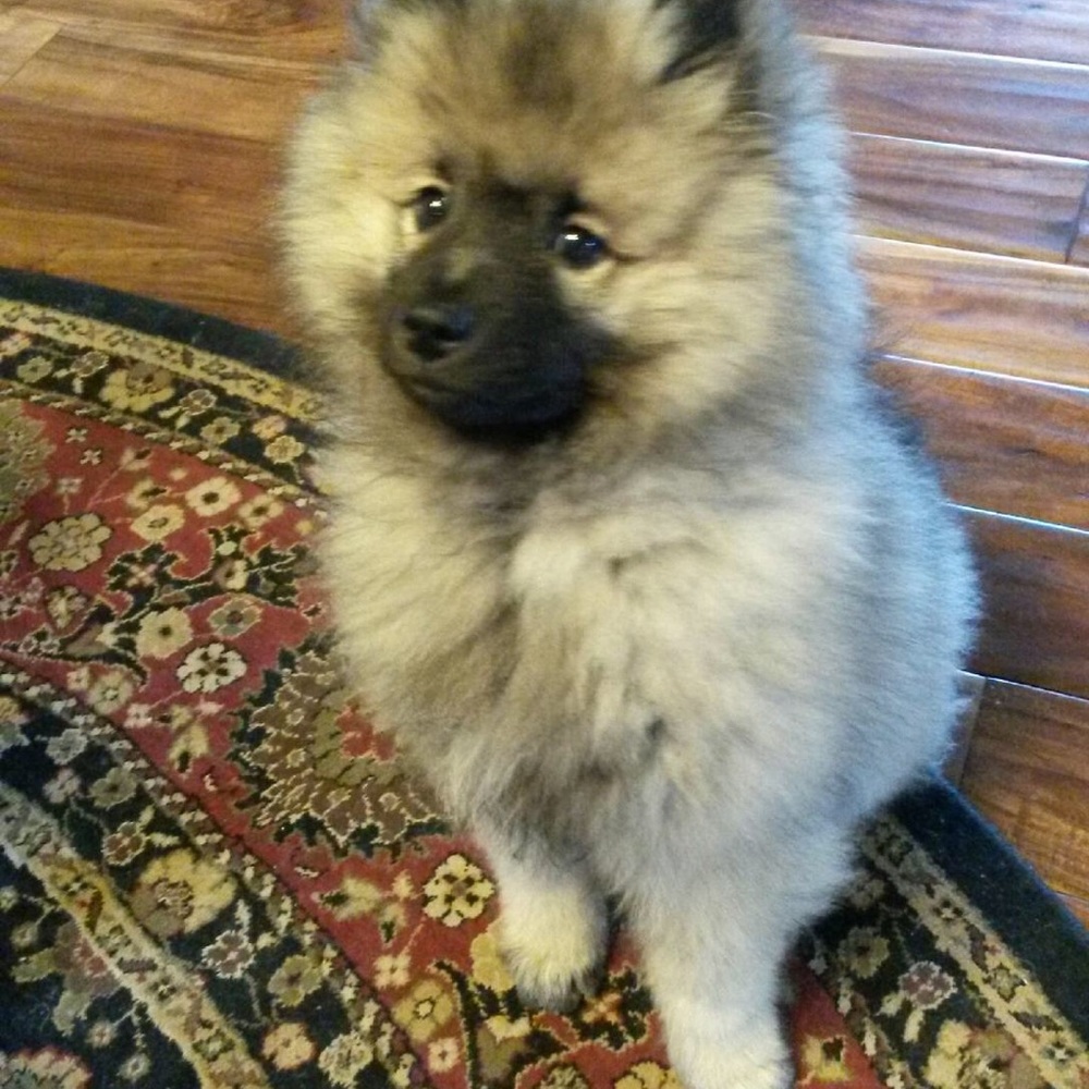 Meet your Posher, Marietta